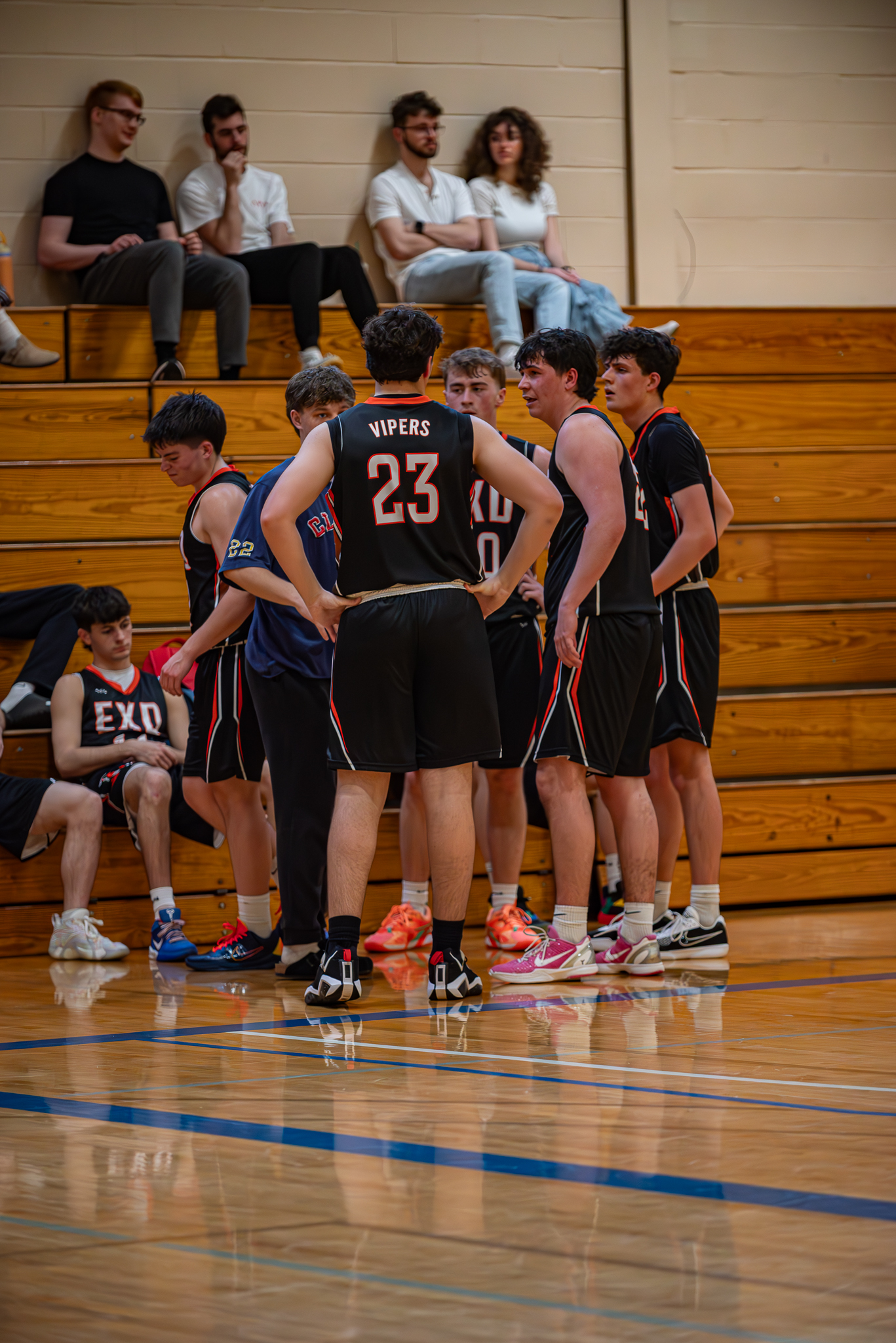 Vipers vs. Knights