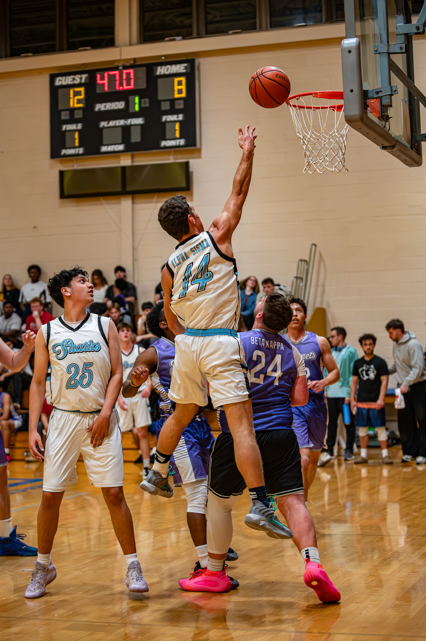Sharks vs. Hornets